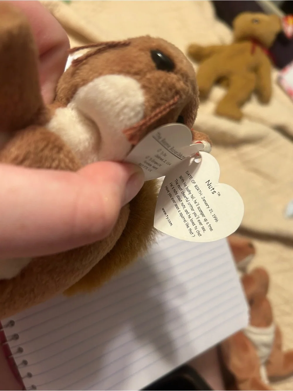Ty brand squirrel